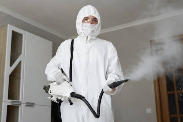 Best Biohazard Mold Removal  in Cleveland, TN